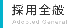 採用全般 Adopted General