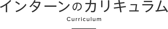 インターンのカリキュラム Curriculum