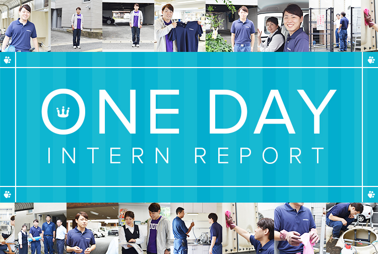 ONE DAY INTERN REPORT